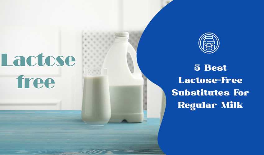 5 Best LactoseFree Substitutes For Regular Milk